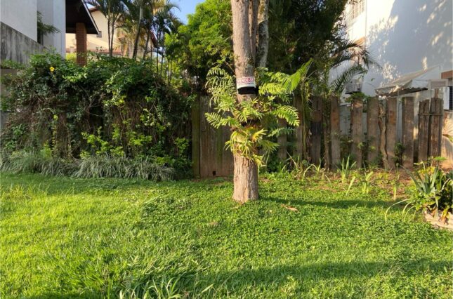 Lote-alpha-06-360m2-Al-Primulas-01-1