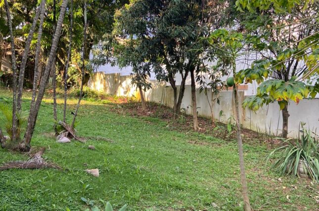 Lote-alpha-06-360m2-Al-Primulas-1